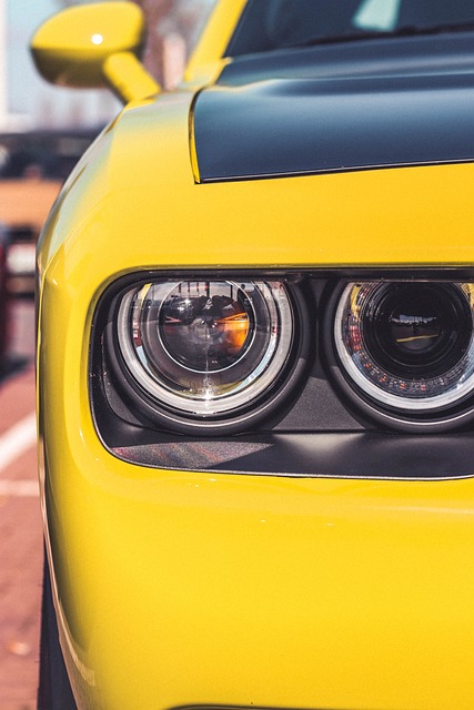 sport-4155825_640